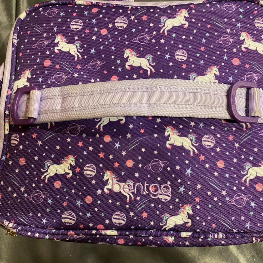 Bentgo lunch box with insulated carrying case